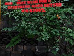 -甲乙丁書店·书茶咖·四合院