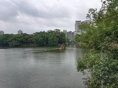 -荔湾湖公园