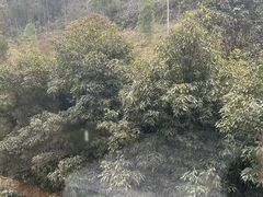 -中铁花水湾温泉酒店(大邑店)