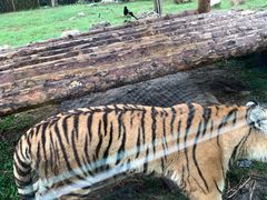 -西安秦岭野生动物园