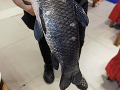 -乡土特色.冷锅鱼.牦牛肉汤锅