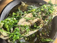 -马村鱼头
