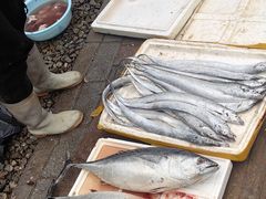 -霞涌市场海鲜摆卖区