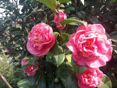 -艾溪湖湿地公园