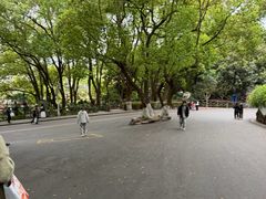 -天秀花园古月园