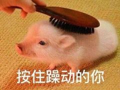 -巷子深菜馆(新华路店)