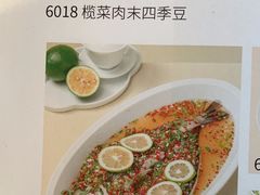 -陶兰居·香港饭店·海鲜大排档(圆融时代广场店)