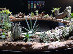 -南宫五洲植物乐园