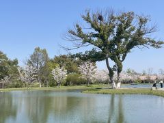 -良渚古城遗址公园