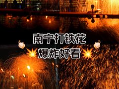 -广西壮族自治区药用植物园