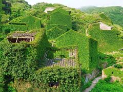 -枸杞岛