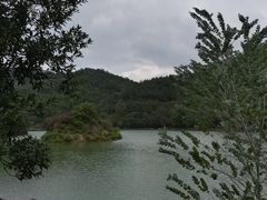 -广州白江湖森林公园