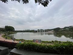 -东莞植物园