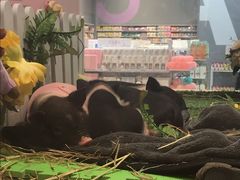 -布吉佳兆业广场