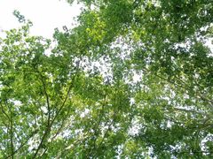 外景-河南省黄河迎宾馆