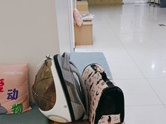 -美联众合动物医院·24h京西诊疗中心
