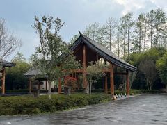 -腾冲和顺柏联酒店