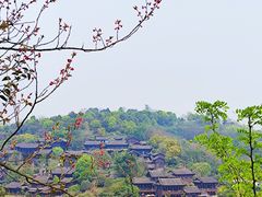 -重庆园博园