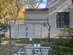 -三里屯东五街银杏大道