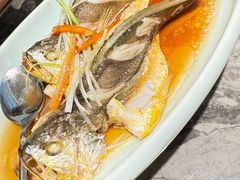 -前海沿·青岛菜(乐客城店)