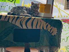 -平行世界·猫咖(首经贸店)