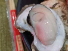 -蚝抵食·湛江生蚝(湾北路店)