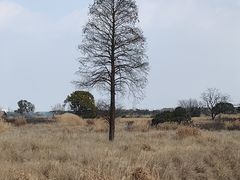 -良渚古城遗址公园