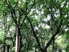 -广州雕塑公园