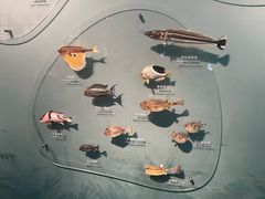 -中国湿地博物馆