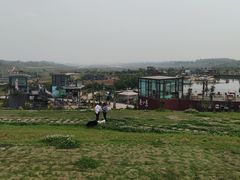 -空港花田景区
