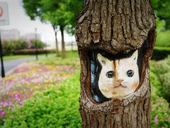 -上海山野camping·户外天幕烧烤·团建拓展营地