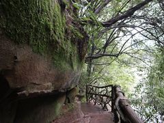 -碧峰峡风景区