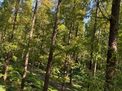 -黄海国家森林公园