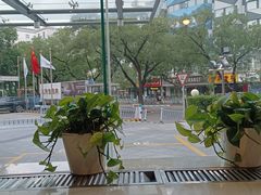 -天伦松鹤大饭店·欣妮咖啡