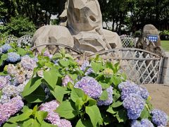 -常州古运河南大街文化旅游区-人民公园