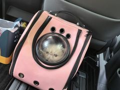 -北京赛佳动物医院