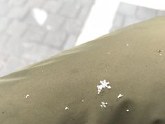 -魏家凉皮(博水商务大厦店)