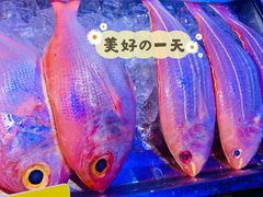 -黄寺蒸汽海鲜(黄寺大街店)