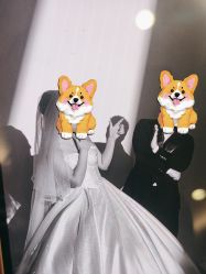 -金夫人婚纱摄影(总店)