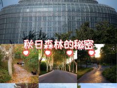 -郑州植物园