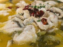 -张家卫·阳江菜·小海鲜(肥婆湾桥店)
