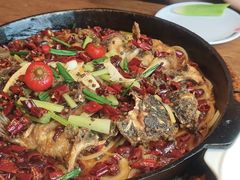 -老板恋上鱼(恒隆广场店)