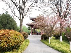 -宝鸡植物园