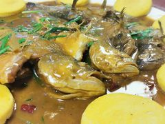 家常海杂鱼-叶存利海鲜大馅饺子(海宁路总店)