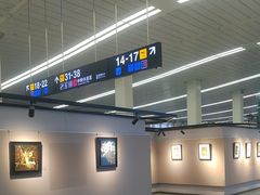 -石家庄正定国际机场-T2航站楼