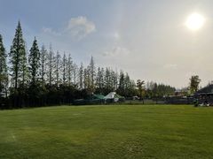 -前小桔亲子创意农场·草莓采摘·露营烧烤