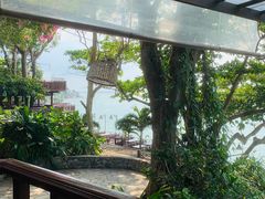 -卷心菜和避孕套餐厅(Pattaya)