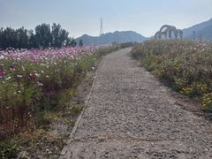 -密云玫瑰情园