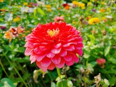 -长春公园(普阳街道)