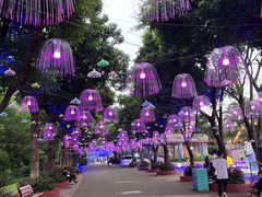 -观澜湖生态运动公社